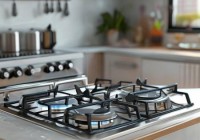 普田燃气灶全市统报修热线中心讲解<长虹双灶燃气灶：安全防爆，烹饪无忧>