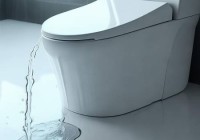 贝朗智能马桶400守护中心分析+智能马桶背后黑科技：揭秘神秘装置功能