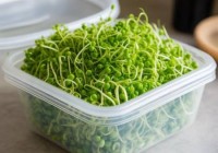 夏普冰箱品牌热线教导㉿豆芽在冰箱可保鲜多久？